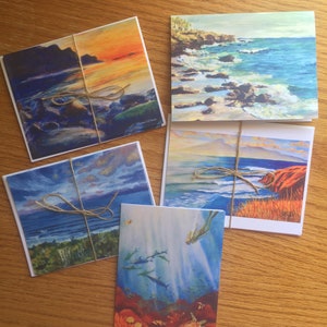 Carte oceaniche assortite da 5 confezioni