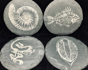 Laser Engraved Fossil Slate Coasters Set of 4