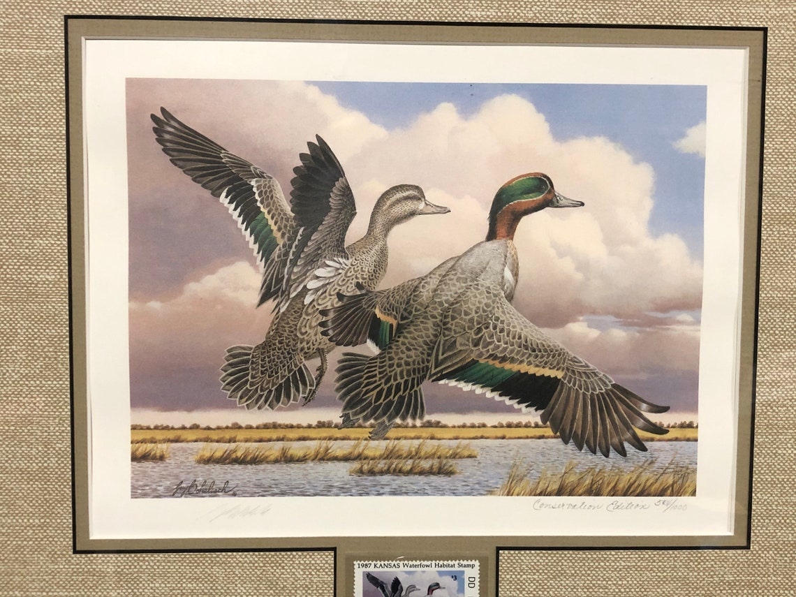 Kansas Waterfowl Habitat Stamp 50th Year Ducks Unlimited Etsy