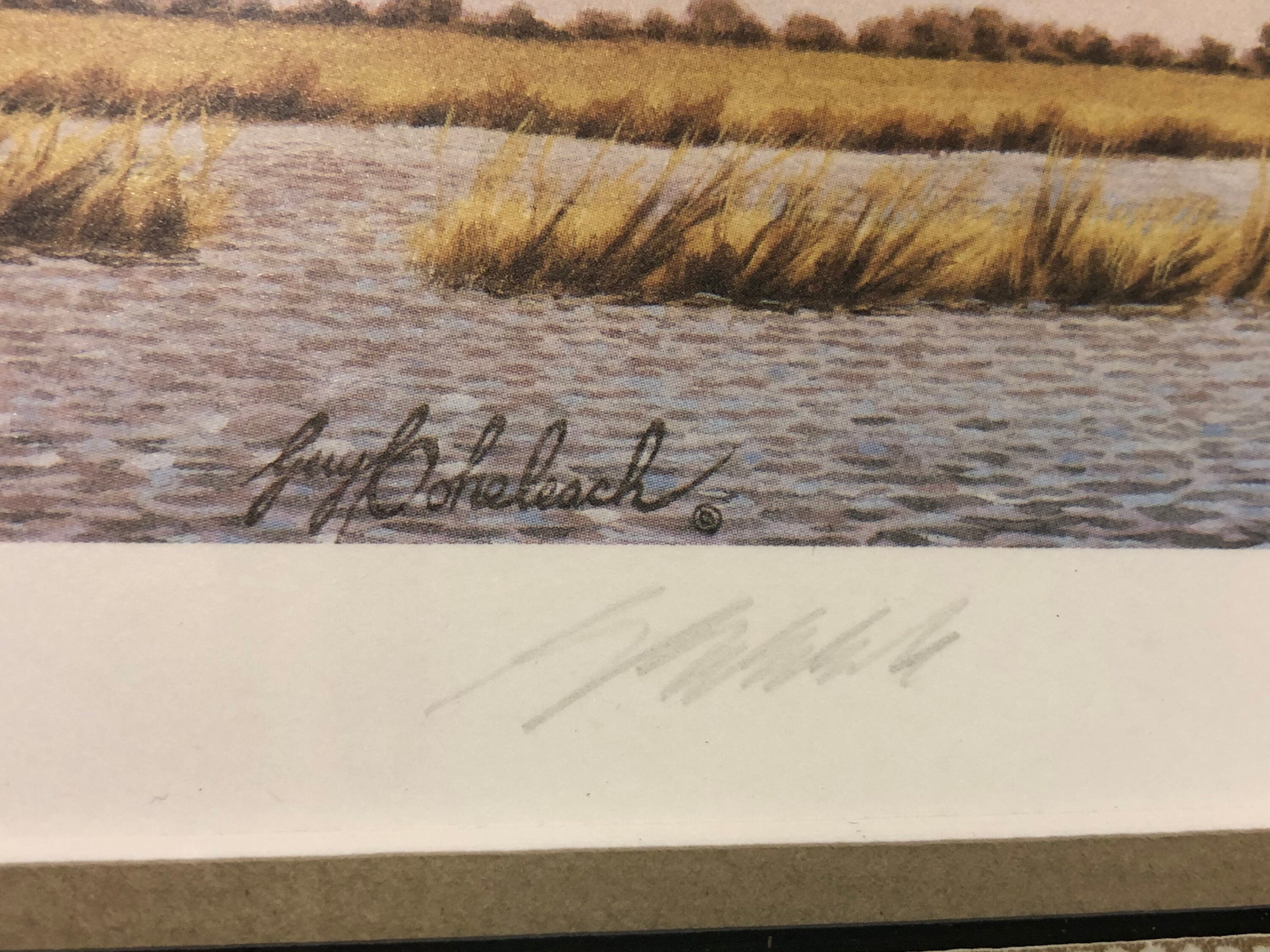 Kansas Waterfowl Habitat Stamp 50th Year Ducks Unlimited Etsy India