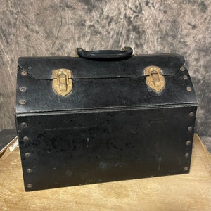Vintage Pet Carrier, Pet Taxi, Black Pet Carrier, Dog Cat Travel Luggage