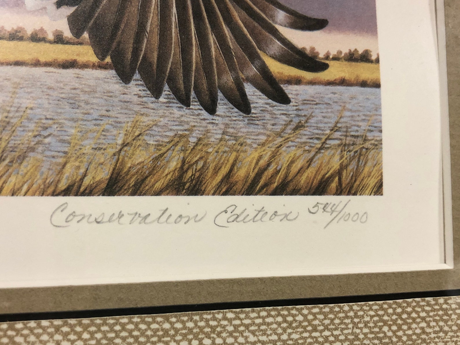 Kansas Waterfowl Habitat Stamp 50th Year Ducks Unlimited Etsy