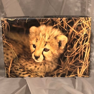 Vintage Springbok Jigsaw Puzzle Freckles, Hallmark Kids Jigsaw Puzzle