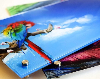 acrylic prints etsy