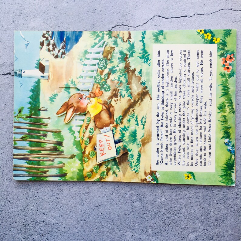 The New Adventure of Peter Rabbit Vintage Hardcover Action Book - Etsy