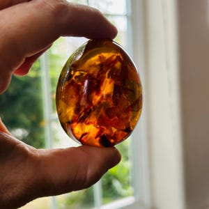 斑点のある卵形の圧縮琥珀 - Etsy 日本
