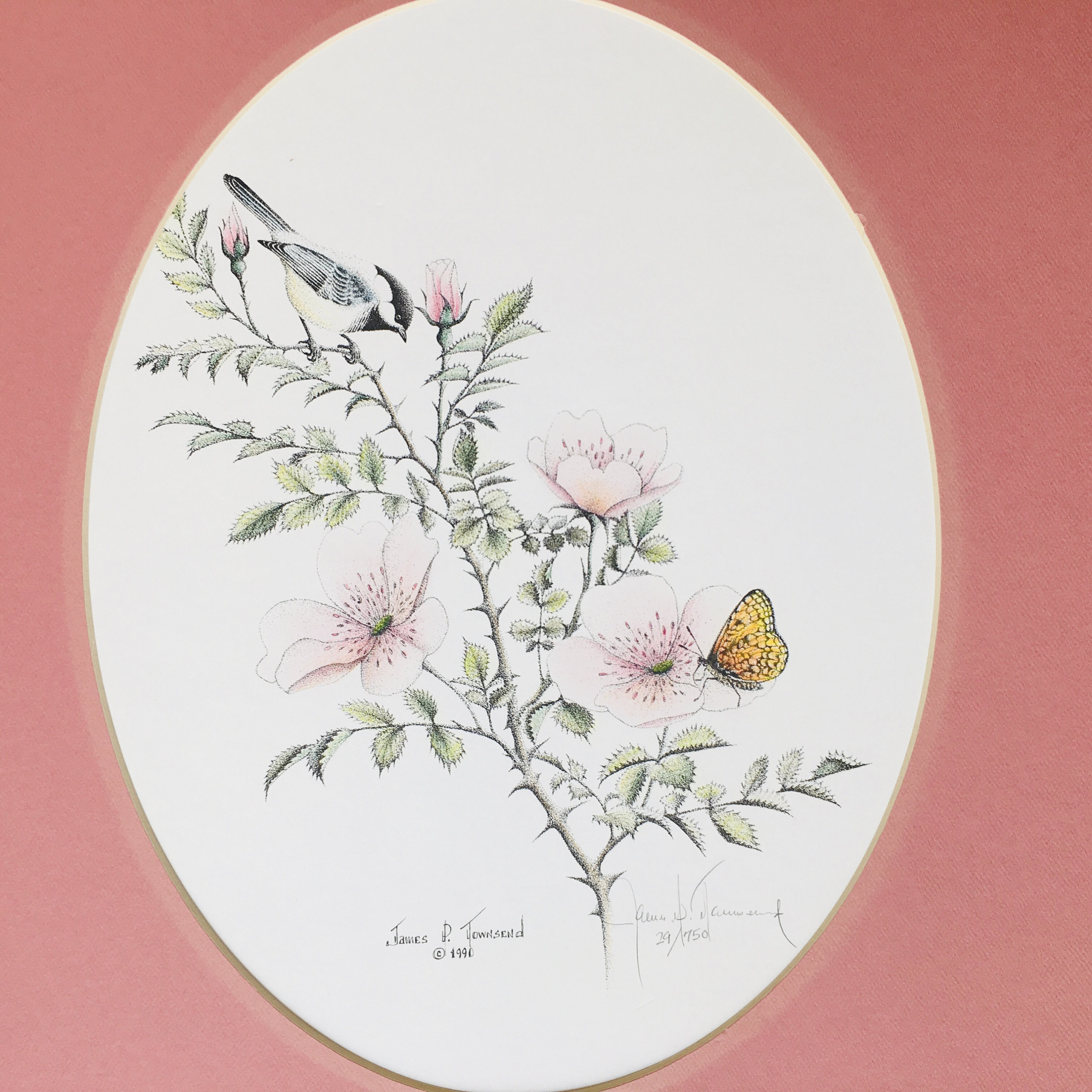 James P. Townsend Bird and Butterfly Numbered Signed Lithograph