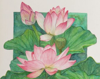 Pink Lotus Blossoms Original Watercolour Painting
