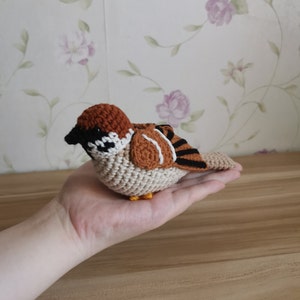 Eurasian Tree Sparrow,crochet pattern with video,amigurumi pattern,PDF file image 6