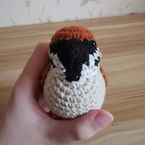 Eurasian Tree Sparrow,crochet pattern with video,amigurumi pattern,PDF file image 7