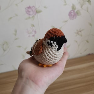 Eurasian Tree Sparrow,crochet pattern with video,amigurumi pattern,PDF file image 5