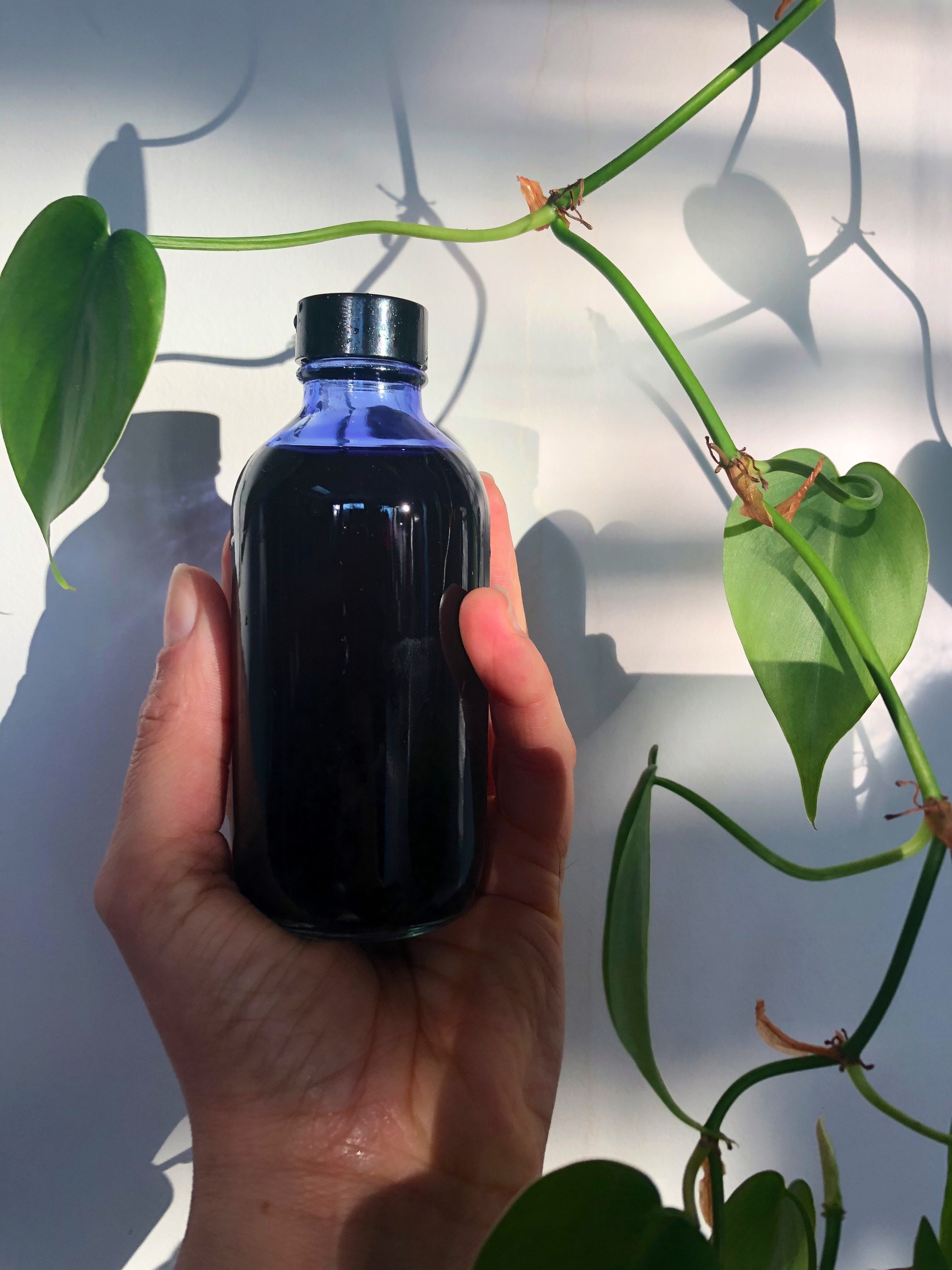 Butterfly /blue Pea Glycerite/cosmetic Grade/butterfly Pea Tincture