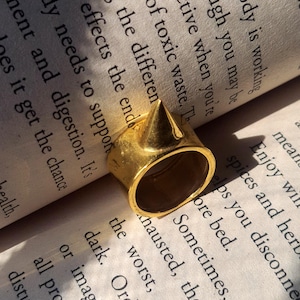 以下が含まれることがあります： 金色のリングで、尖ったデザインです。リングは、テキストが見える開いた本の上に置かれています。リングのデザインは、目立つ中央のスパイクとテクスチャード加工されたバンドが特徴です。
