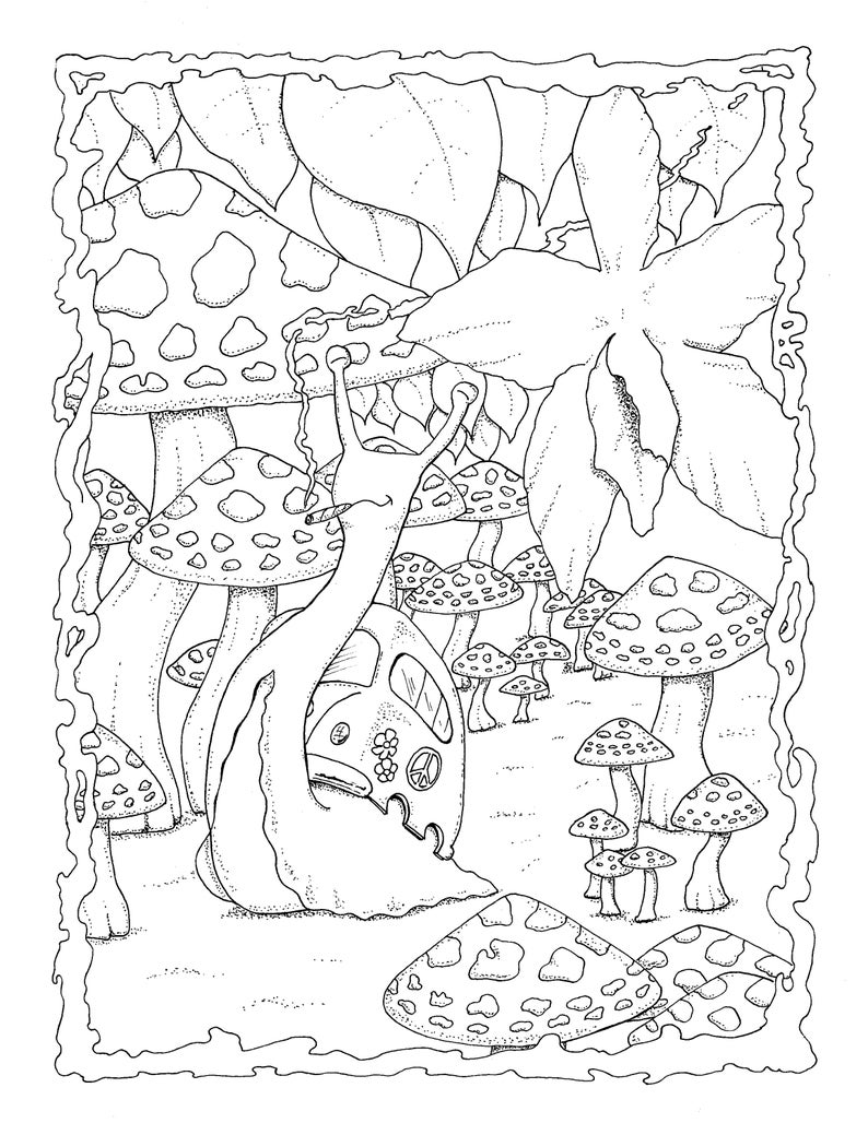Lucid Dreams A 20 Page Adult Coloring Book By Roger A. Etsy