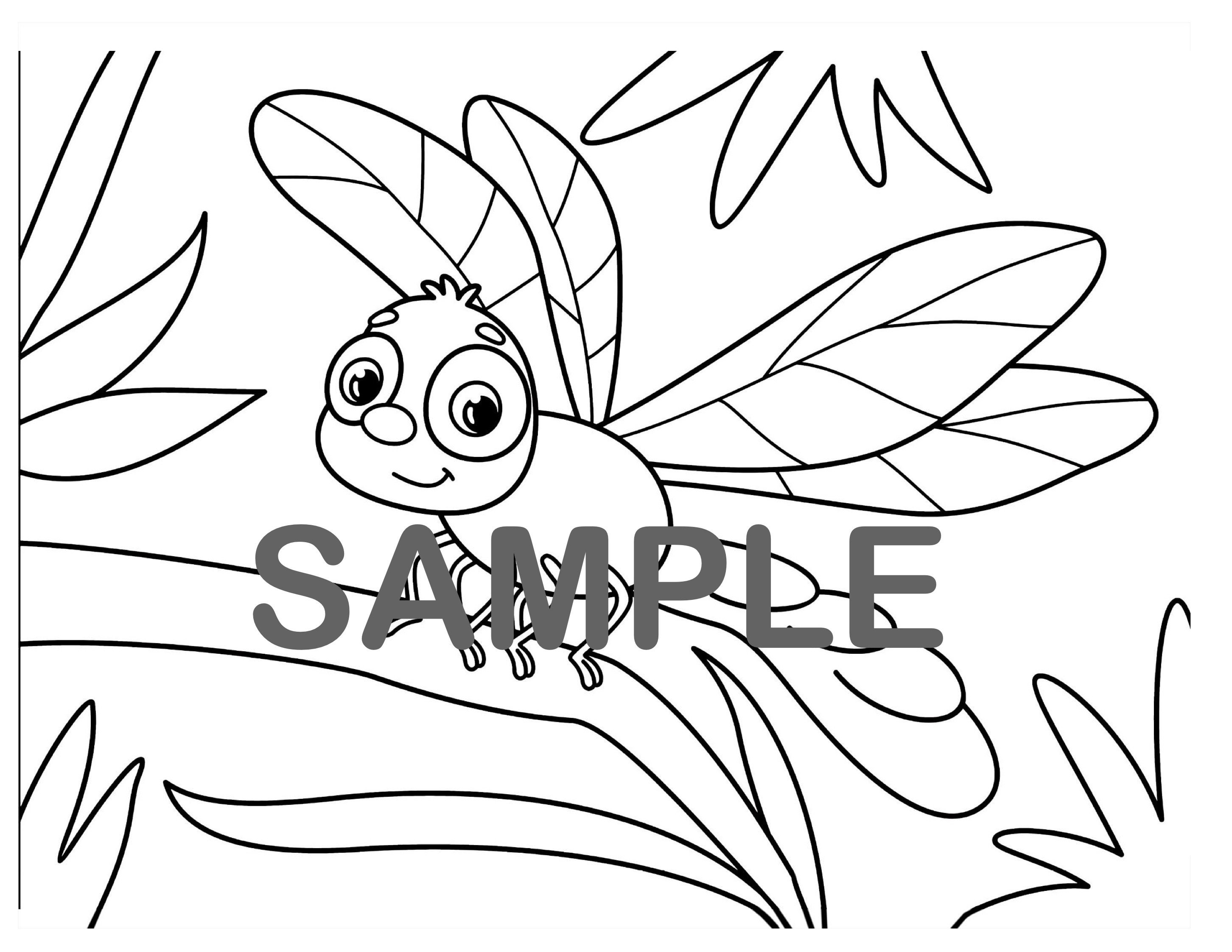 6 bug coloring pages bugs coloring sheets kids drawings etsy