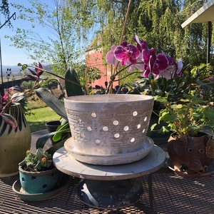 Easy Water Large Orchid Planter