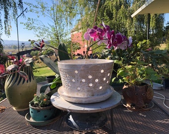Easy Water Large Orchid Planter