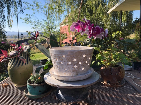Vaso Per Piante In Ceramica Bianca Con Sottovaso - Design Moderno Per Interni
