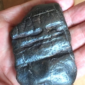 Kt. 695 Meteorite! Huge piece from Inner Mongolia - Certificated - nickel and other metals