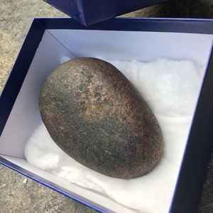 May include: A dark brown, oval-shaped rock with a rough texture, resting in a blue box lined with white tissue paper.