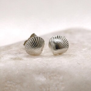 May include: A pair of silver seashell stud earrings. Each earring is shaped like a scallop shell, with detailed ridged lines. The earrings are presented on a white surface, with a soft, out-of-focus background.