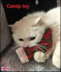 EXTRA Strong Catnip cat toy. Christmas and other patterned Stocking. Cat's Present, Gift. UK made. Handmade.