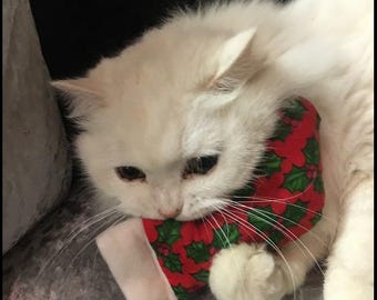 EXTRA Strong Catnip cat toy. Christmas and other patterned Stocking. Cat's Present, Gift. UK made. Handmade.