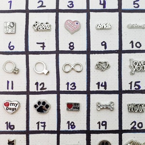 Wedding/Love/Pets/Dog/Cat Charms for Floating Locket; Story Locket; Living Memory Locket; Fits all brands of locket