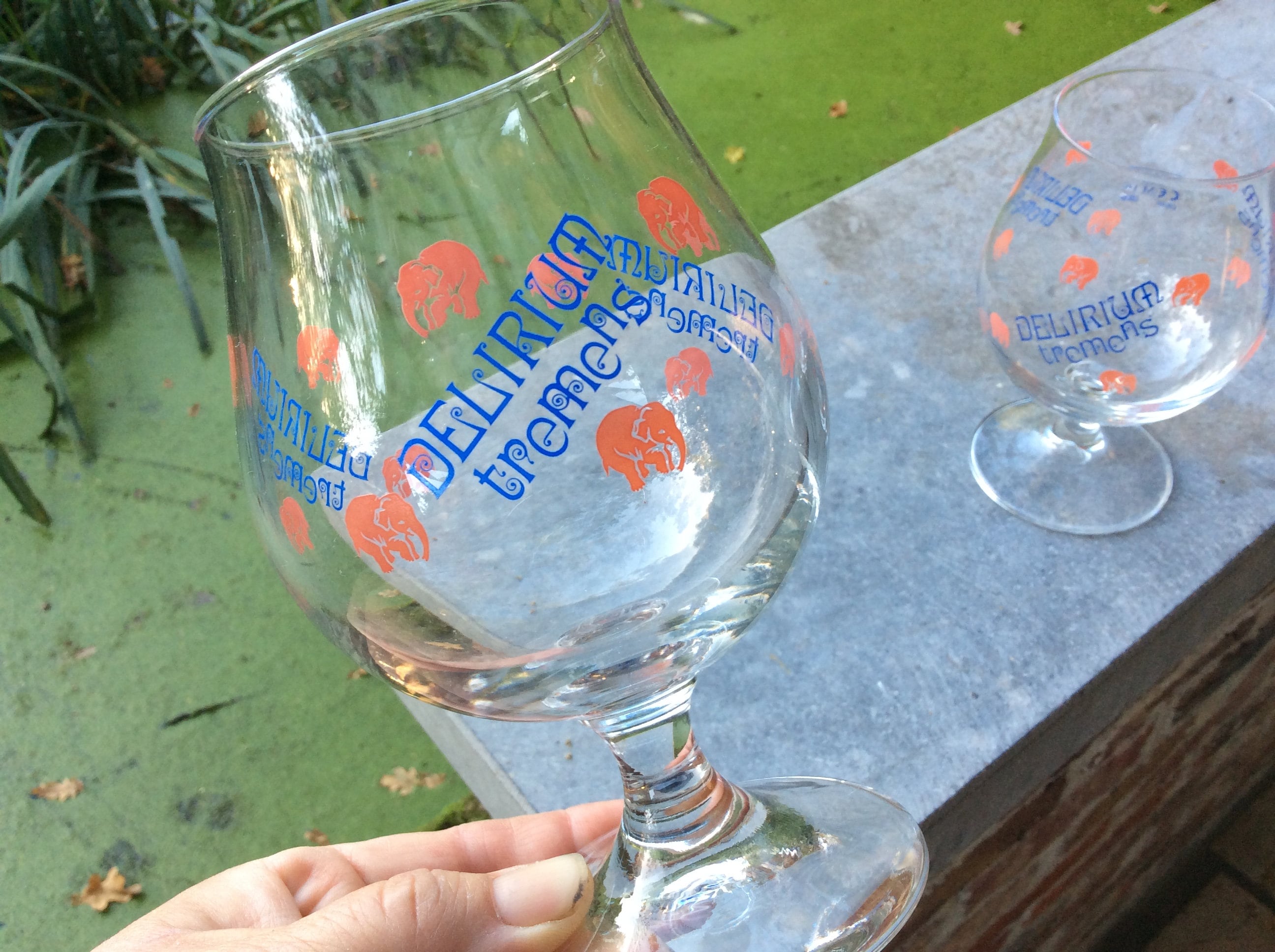 Vintage Style Delerium Tremens Pink Elphant Beer Pint Glass, 16oz Vintage Style Delerium Tremens Pink Elphant Beer Pint Glass, 16oz