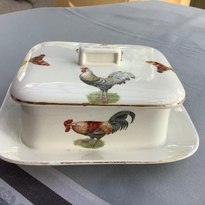 Plat Décoratif Céramique – Coq Assis (Motif Multicolore, HLBRA, Occasion)
