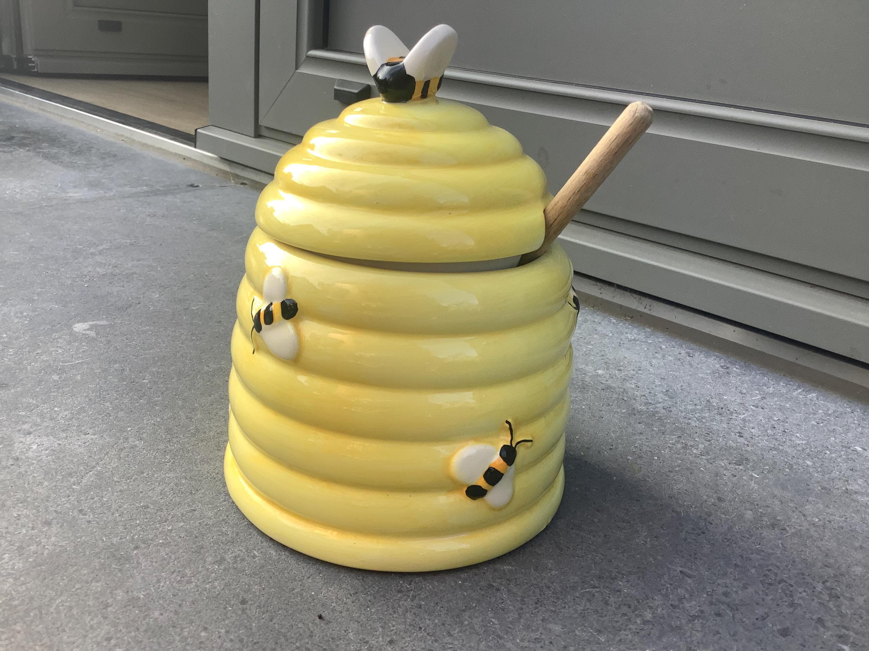 Honey pot ant - Etsy 日本