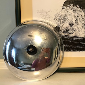 Puede incluir: Un dibujo en blanco y negro a pluma y tinta de un perro sentado en un cochecito. El dibujo está enmarcado en un marco verde con un passe-partout crema.