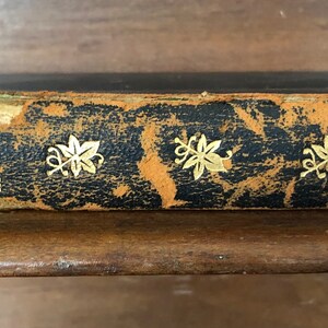 William Makepeace Thackeray The Newcomes New Century Library Thomas Nelson and Sons