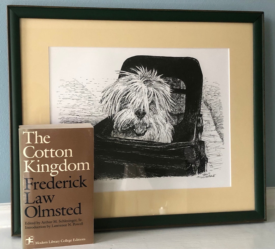 Frederick Law Olmsted the Cotton Kingdom Edited by Arthur M. Etsy