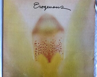 Bionic Boogie Vinyl Album Self Titled Album - Etsy