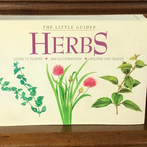 Herbs The Little Guides Fog City Press 2001