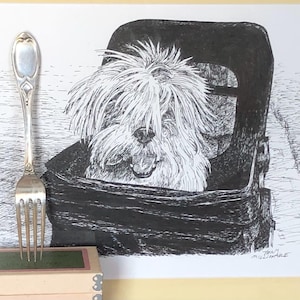 Può includere: Disegno a inchiostro nero e bianco di un piccolo cane peloso seduto in una borsa nera. Il cane guarda lo spettatore con la bocca aperta e la lingua di fuori. Il disegno è firmato "Tom Millward".