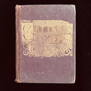 Poèmes de James Cattern, livre de poésie américain Ottumwa, poète officiel de l'Iowa, souvenir du palais du charbon, 1890