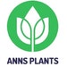 ANN MENKE