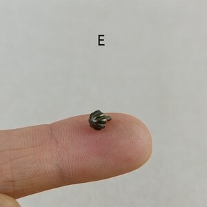 Puede incluir: Un peque&ntilde;o bot&oacute;n de metal plateado con una parte superior decorativa acanalada. El bot&oacute;n tiene un solo pasador peque&ntilde;o en la parte posterior.