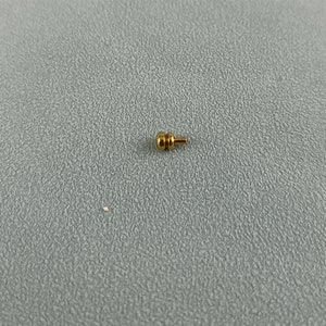 May include: A small gold-colored metal push button with a rounded top.