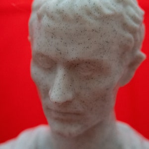May include: A close-up of a white plaster bust of a person with a textured surface. The bust is against a red background.