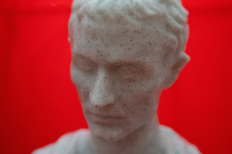 May include: A close-up of a white plaster bust of a person with a textured surface. The bust is against a red background.