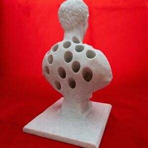 May include: White plaster bust sculpture with a detailed face and a back covered in evenly spaced circular holes.