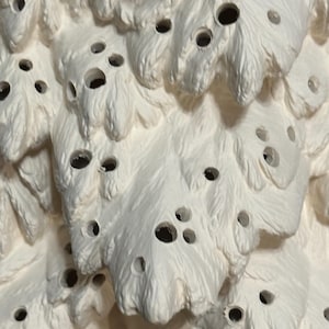 Pu&ograve; includere: Primo piano di un oggetto in ceramica strutturata bianco sporco con un design organico a strati. La superficie presenta numerosi fori di forma irregolare, creando un aspetto poroso. L'estetica generale ricorda una forma naturale, forse botanica.