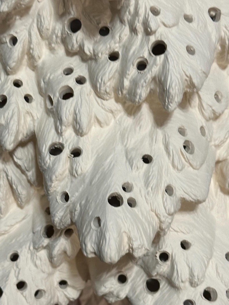 Pu&ograve; includere: Primo piano di un oggetto in ceramica strutturata bianco sporco con un design organico a strati. La superficie presenta numerosi fori di forma irregolare, creando un aspetto poroso. L'estetica generale ricorda una forma naturale, forse botanica.