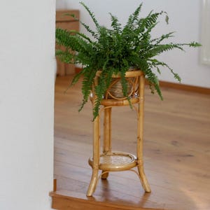 Mid Century Modern Flower Stand / Bamboo Plant Stand / Tripod Stand / Vintage Flower Stand / Flower Stands / Plant / Yugoslavia / 1970 /&#39;70s