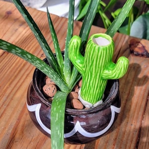 Cactus - Self Watering Ceramic Watering Spike Olla for Houseplants and Gardens