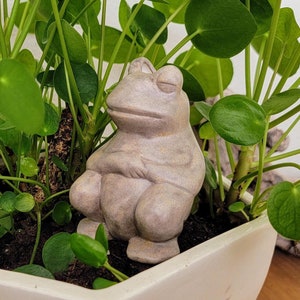 Ceramic Plant Watering Spike - Chill Zen Frog - Self-Watering Irrigation Stake