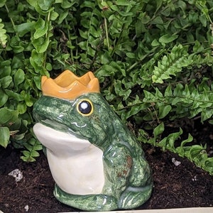 Plant Watering Spike - Ceramic Self Watering Bulb for Houseplants and Gardens - Frog Prince - Housewarming Gift for Plant Lovers